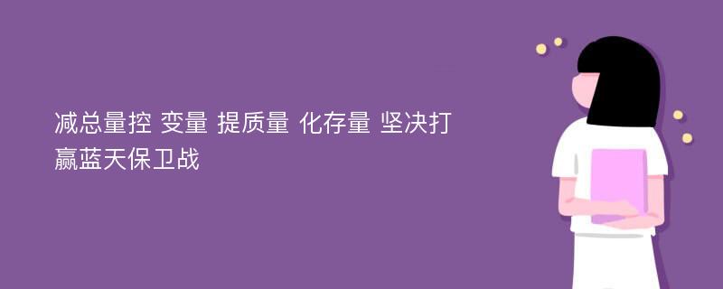 减总量控 变量 提质量 化存量 坚决打赢蓝天保卫战