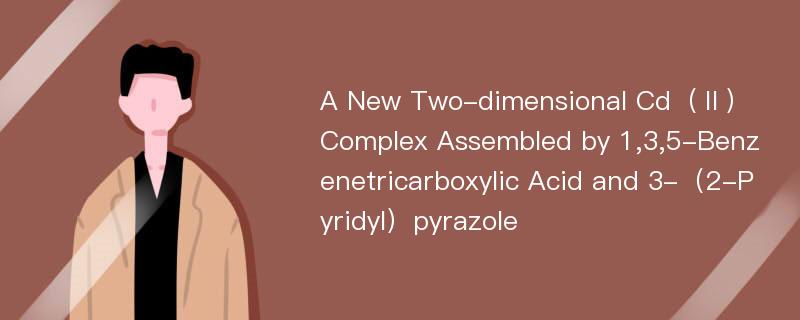 A New Two-dimensional Cd（Ⅱ） Complex Assembled by 1,3,5-Benzenetricarboxylic Acid and 3-（2-Pyridyl）pyrazole