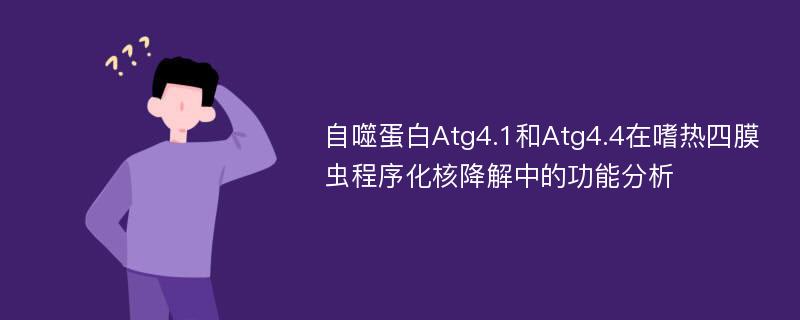 自噬蛋白Atg4.1和Atg4.4在嗜热四膜虫程序化核降解中的功能分析