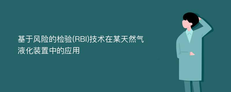 基于风险的检验(RBI)技术在某天然气液化装置中的应用