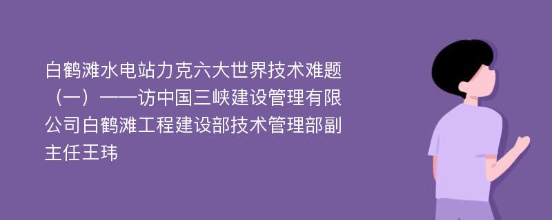 白鹤滩水电站力克六大世界技术难题（一）——访中国三峡建设管理有限公司白鹤滩工程建设部技术管理部副主任王玮