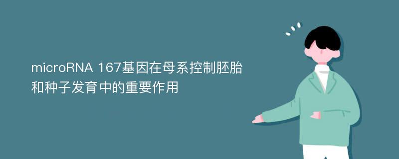 microRNA 167基因在母系控制胚胎和种子发育中的重要作用