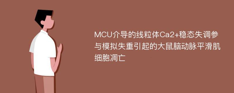 MCU介导的线粒体Ca2+稳态失调参与模拟失重引起的大鼠脑动脉平滑肌细胞凋亡