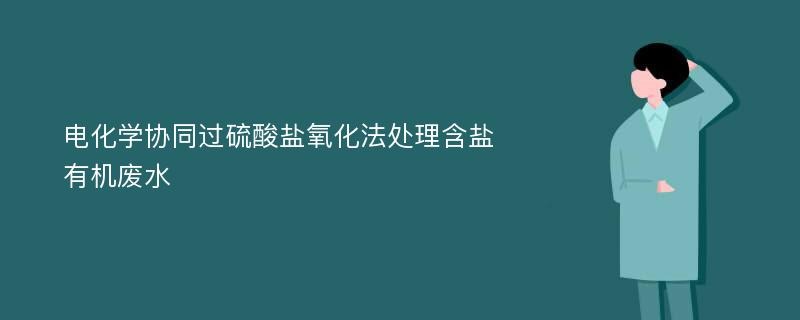 电化学协同过硫酸盐氧化法处理含盐有机废水