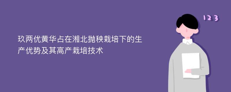 玖两优黄华占在湘北抛秧栽培下的生产优势及其高产栽培技术