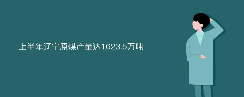 上半年辽宁原煤产量达1623.5万吨