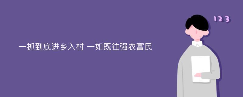 一抓到底进乡入村 一如既往强农富民