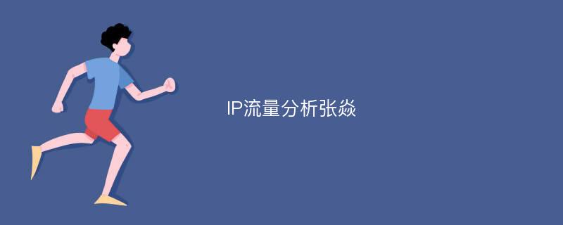 IP流量分析张焱