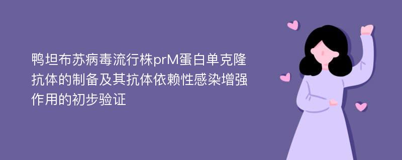 鸭坦布苏病毒流行株prM蛋白单克隆抗体的制备及其抗体依赖性感染增强作用的初步验证