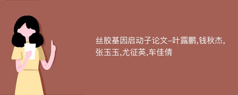 丝胶基因启动子论文-叶露鹏,钱秋杰,张玉玉,尤征英,车佳倩