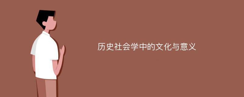 历史社会学中的文化与意义