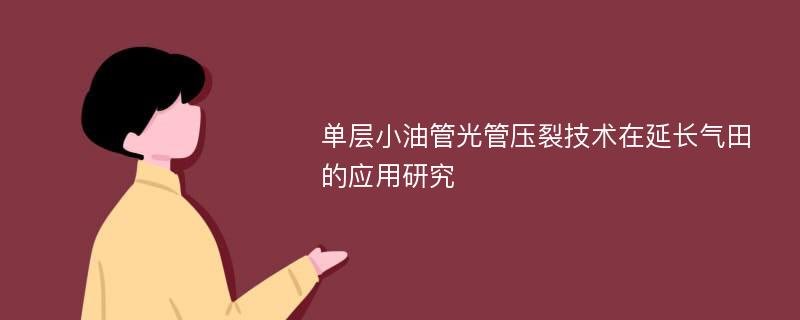 单层小油管光管压裂技术在延长气田的应用研究