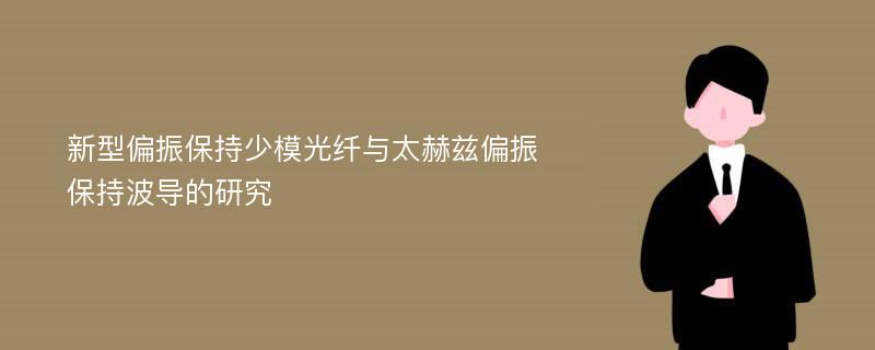 新型偏振保持少模光纤与太赫兹偏振保持波导的研究