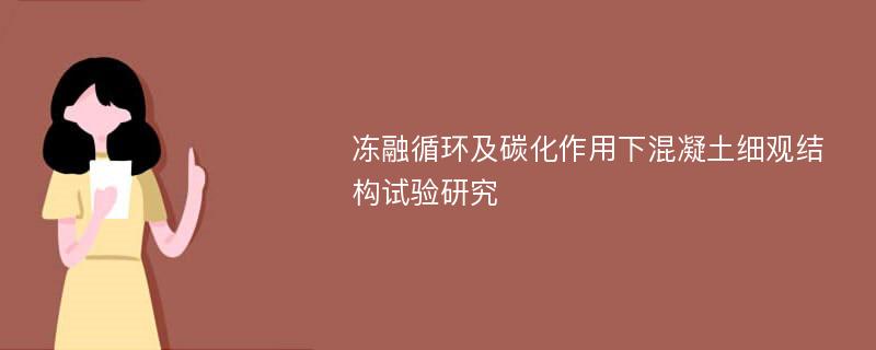 冻融循环及碳化作用下混凝土细观结构试验研究