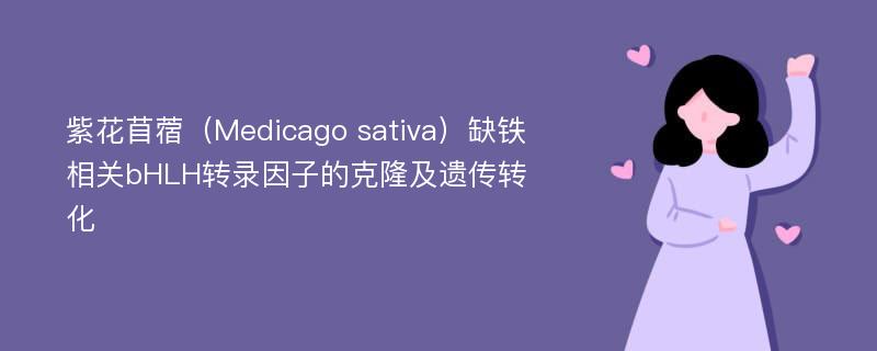 紫花苜蓿（Medicago sativa）缺铁相关bHLH转录因子的克隆及遗传转化