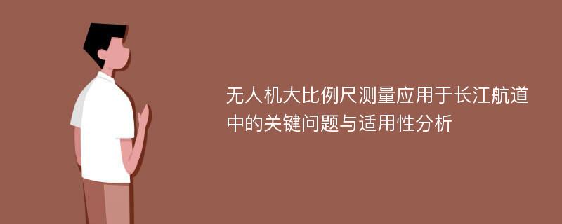 无人机大比例尺测量应用于长江航道中的关键问题与适用性分析