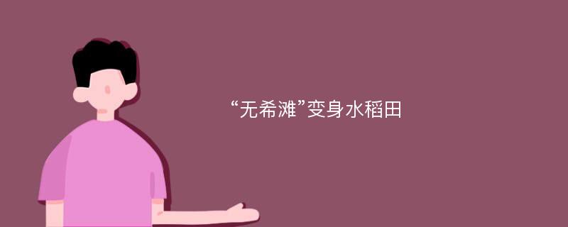 “无希滩”变身水稻田