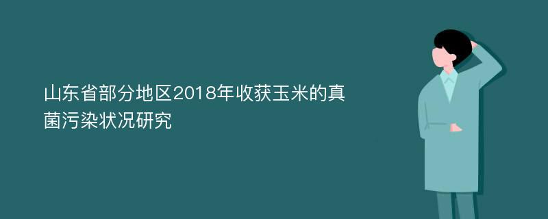 山东省部分地区2018年收获玉米的真菌污染状况研究