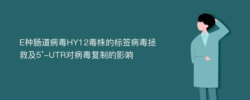 E种肠道病毒HY12毒株的标签病毒拯救及5’-UTR对病毒复制的影响