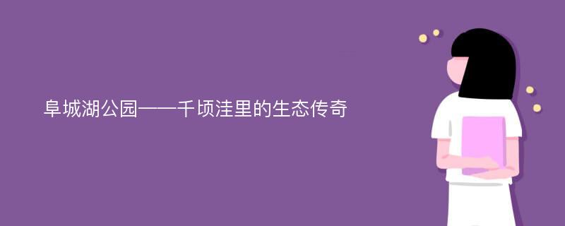 阜城湖公园——千顷洼里的生态传奇