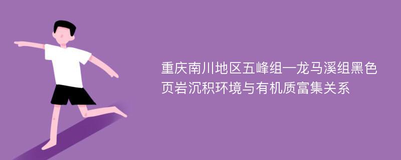 重庆南川地区五峰组—龙马溪组黑色页岩沉积环境与有机质富集关系