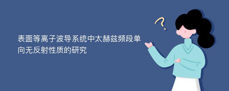 表面等离子波导系统中太赫兹频段单向无反射性质的研究