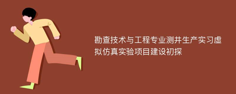 勘查技术与工程专业测井生产实习虚拟仿真实验项目建设初探