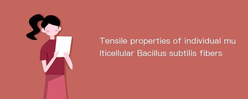 Tensile properties of individual multicellular Bacillus subtilis fibers