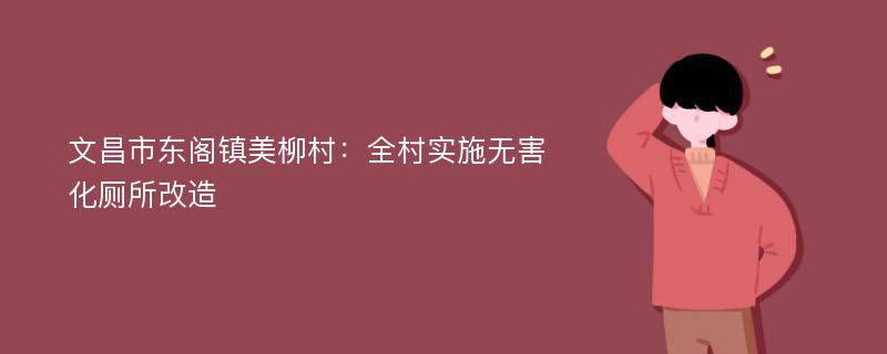 文昌市东阁镇美柳村：全村实施无害化厕所改造