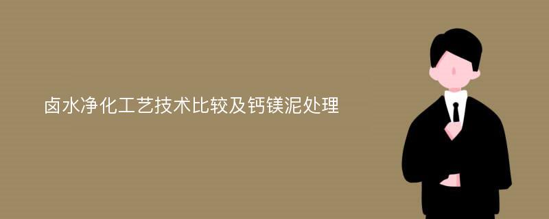 卤水净化工艺技术比较及钙镁泥处理