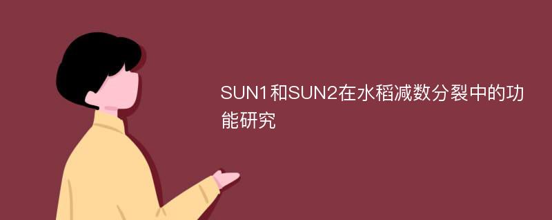SUN1和SUN2在水稻减数分裂中的功能研究