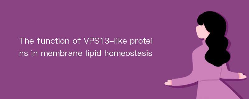 The function of VPS13-like proteins in membrane lipid homeostasis