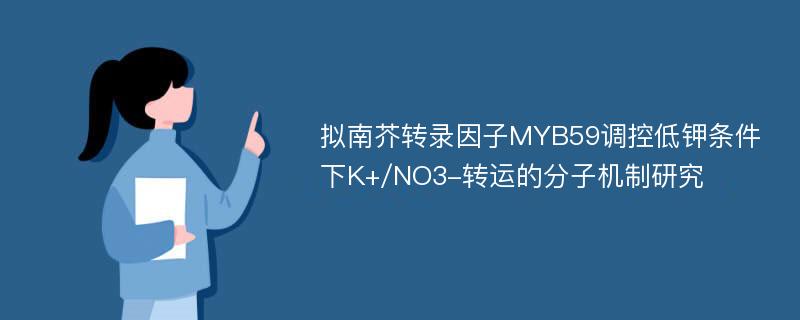 拟南芥转录因子MYB59调控低钾条件下K+/NO3-转运的分子机制研究