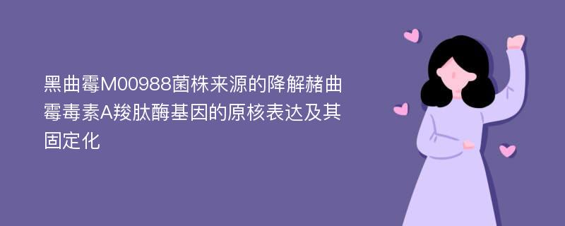 黑曲霉M00988菌株来源的降解赭曲霉毒素A羧肽酶基因的原核表达及其固定化