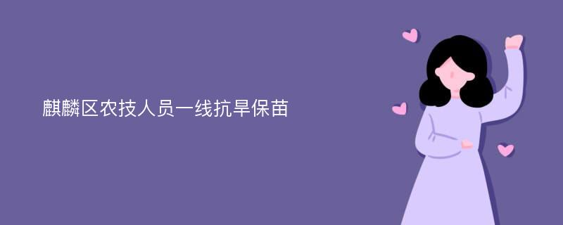 麒麟区农技人员一线抗旱保苗