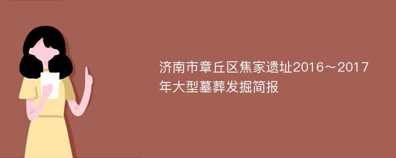 济南市章丘区焦家遗址2016～2017年大型墓葬发掘简报