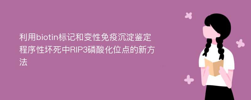 利用biotin标记和变性免疫沉淀鉴定程序性坏死中RIP3磷酸化位点的新方法