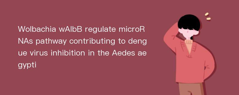 Wolbachia wAlbB regulate microRNAs pathway contributing to dengue virus inhibition in the Aedes aegypti