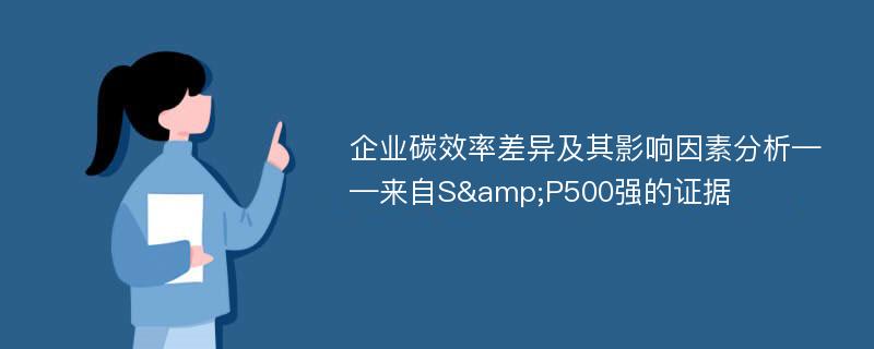 企业碳效率差异及其影响因素分析——来自S&P500强的证据