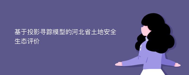 基于投影寻踪模型的河北省土地安全生态评价