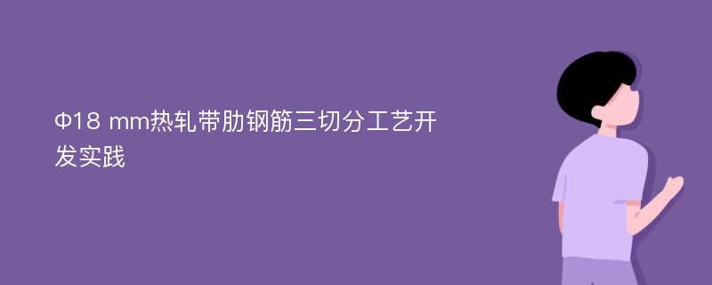 Φ18 mm热轧带肋钢筋三切分工艺开发实践