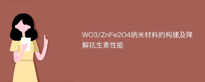 WO3/ZnFe2O4纳米材料的构建及降解抗生素性能