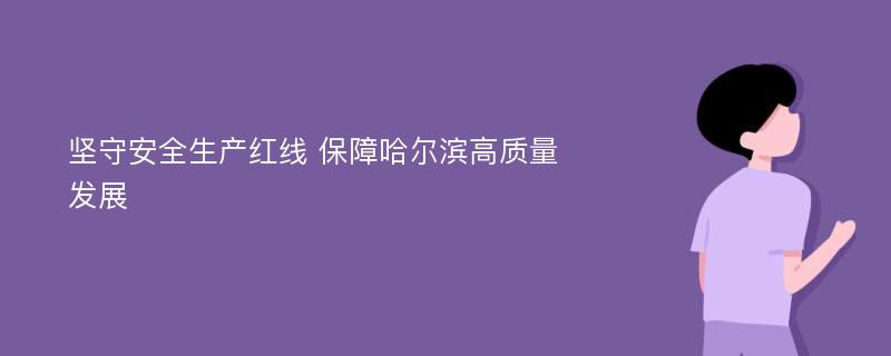 坚守安全生产红线 保障哈尔滨高质量发展