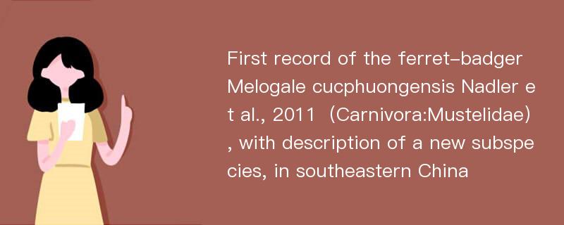 First record of the ferret-badger Melogale cucphuongensis Nadler et al., 2011（Carnivora:Mustelidae）, with description of a new subspecies, in southeastern China