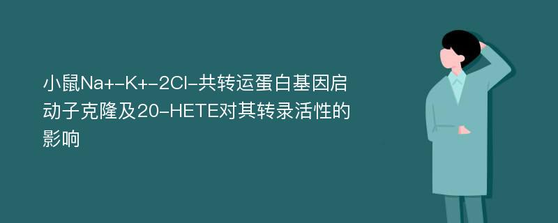 小鼠Na+-K+-2Cl-共转运蛋白基因启动子克隆及20-HETE对其转录活性的影响