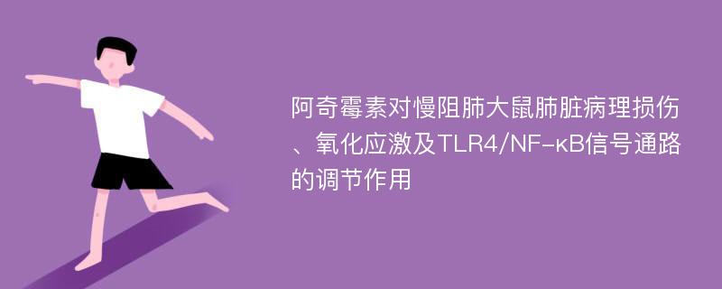 阿奇霉素对慢阻肺大鼠肺脏病理损伤、氧化应激及TLR4/NF-κB信号通路的调节作用