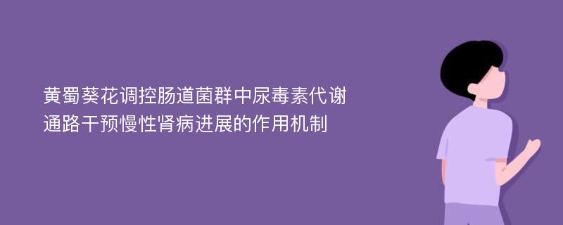 黄蜀葵花调控肠道菌群中尿毒素代谢通路干预慢性肾病进展的作用机制