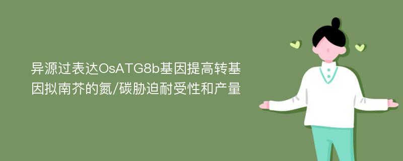 异源过表达OsATG8b基因提高转基因拟南芥的氮/碳胁迫耐受性和产量