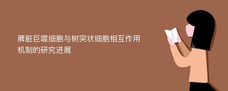 脾脏巨噬细胞与树突状细胞相互作用机制的研究进展