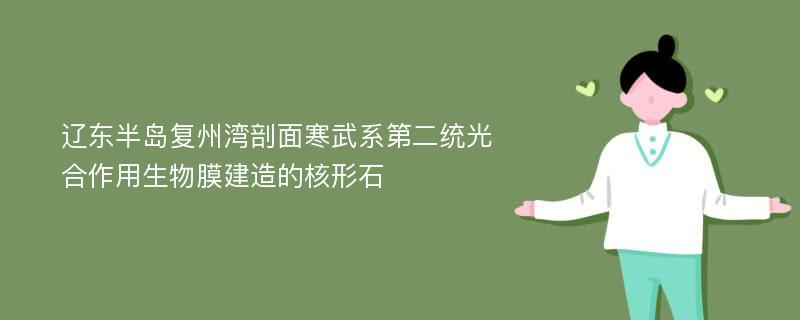 辽东半岛复州湾剖面寒武系第二统光合作用生物膜建造的核形石